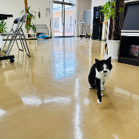 ユニット型特別養護老人ホーム慈晃園の様子